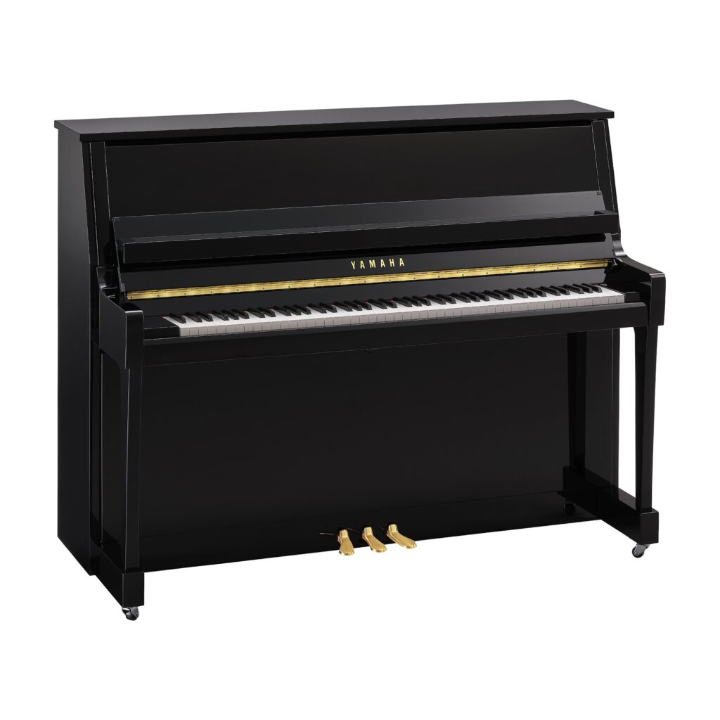 yamaha B20-PE