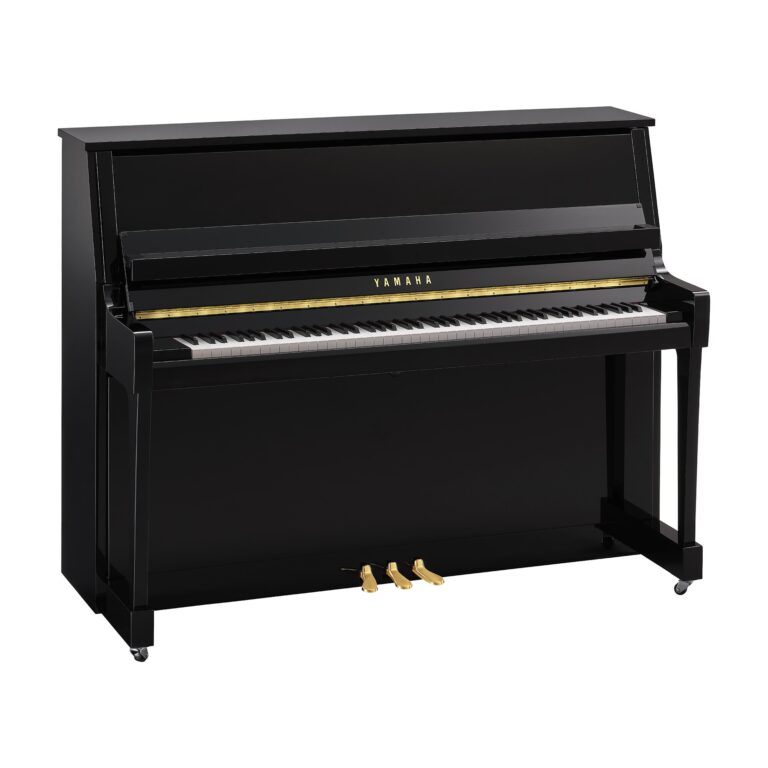 yamaha B20-PE