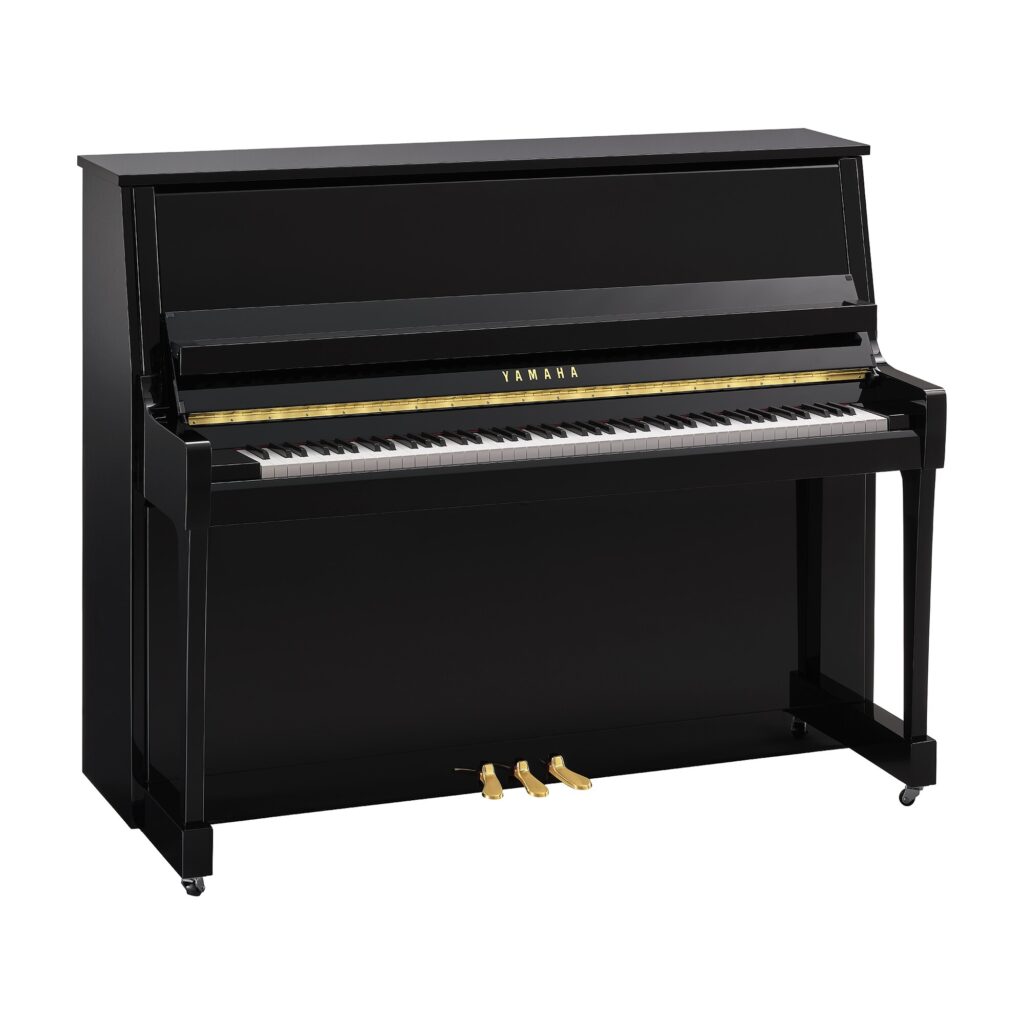 Yamaha B30-PE