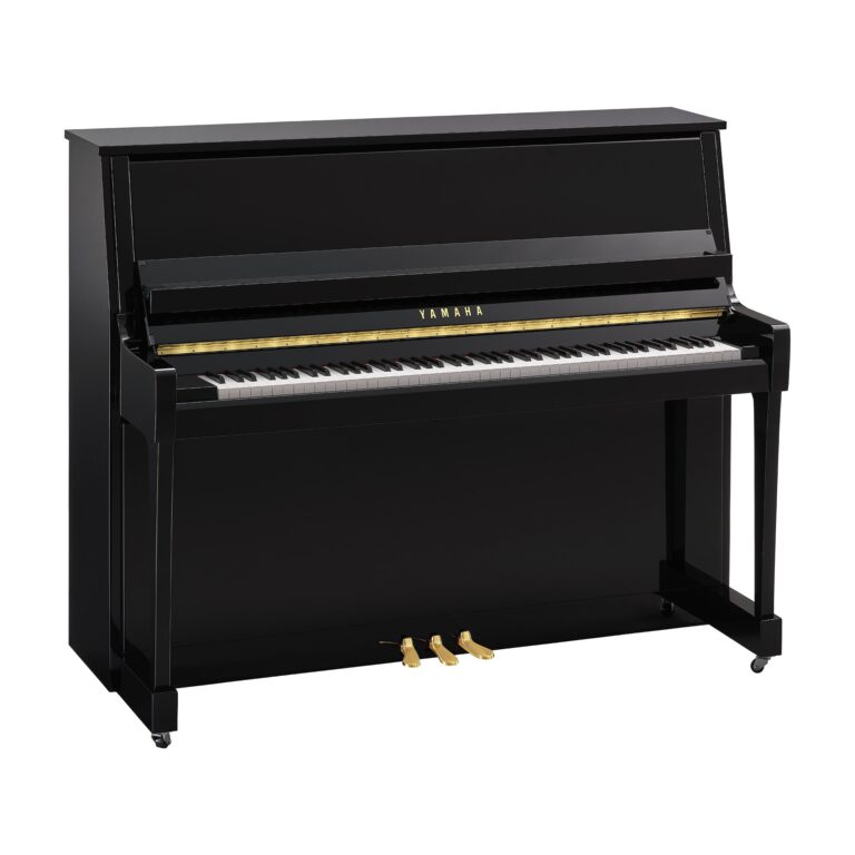 Yamaha B30-PE